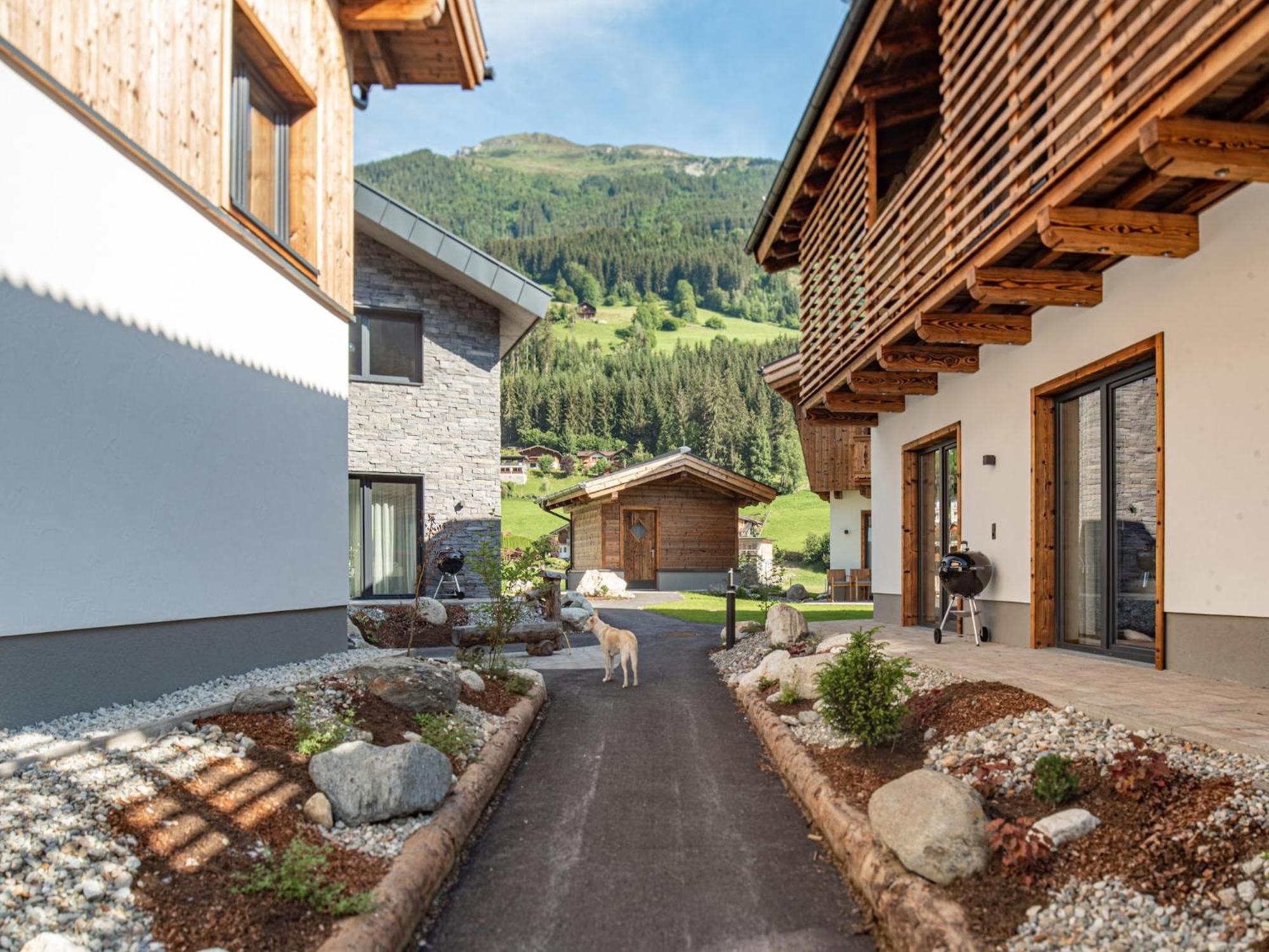 Apartment in Wald im Pinzgau with terrace Exterior foto